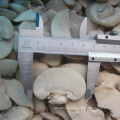 IQF Champignon Whole Slice Frozen Mushroom